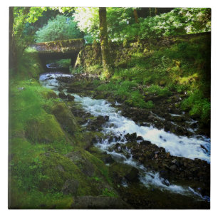 Carreau Runoff from Wahkeena Falls