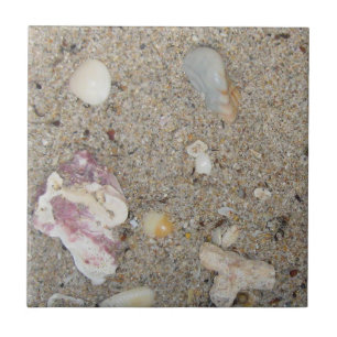 Carreau Sable De Plage De Fort Lauderdale, Coques, Corail