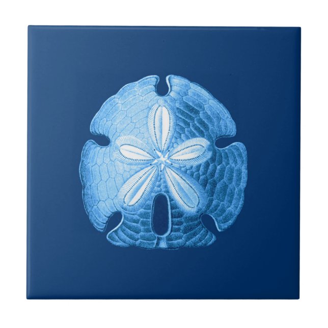 Carreau Sable Dollar Sea Life Imprimer, Indigo Blue and Wh (Devant)