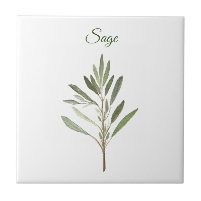 Carreau Sage Herbe Verdure Cuisine culinaire Vert rustique (Devant)