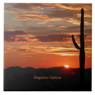 Carreau Saguaro Cactus, coucher du soleil