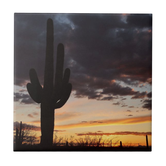 Carreau Saguaro Sunset III Arizona Desert Paysage (Devant)