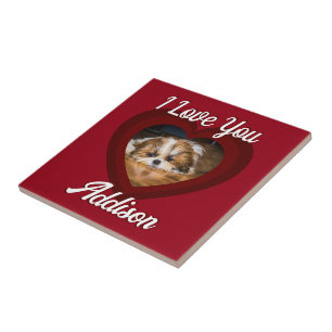Carreau Saint-Valentin amour de chien de coeur Nom photo p