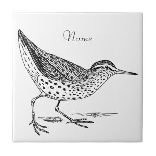 Carreau Sandpiper Shorer Thunder_Cove