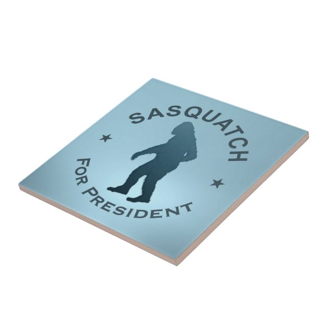 Carreau Sasquatch, Président (Côté)