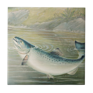Carreau Saumon de Californie par S.A. Kilbourne, Poisson V