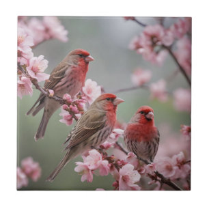 Carreau "Scarlet Trio : Finies rouges parmi les fleurs ros