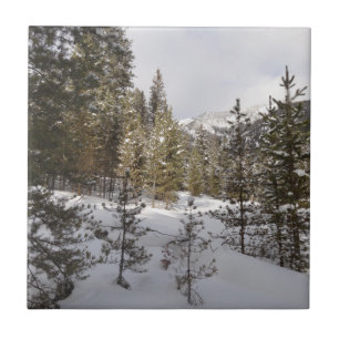 Carreau Scene hivernale de montagne neige au Montana