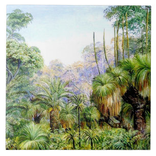 Carreau Scène nord - Forêt dans l'ouest de l'Australie