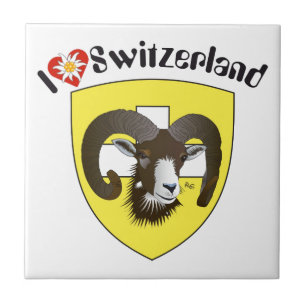 Carreau Schaffhouse Suisse