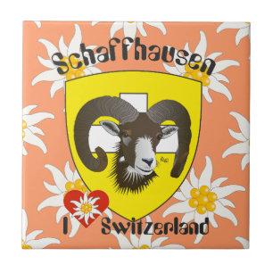 Carreau Schaffhouse - Suisse - Suisse - Svizzera Fliese