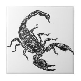Carreau Scorpion