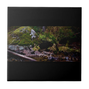 Carreau Secret Place