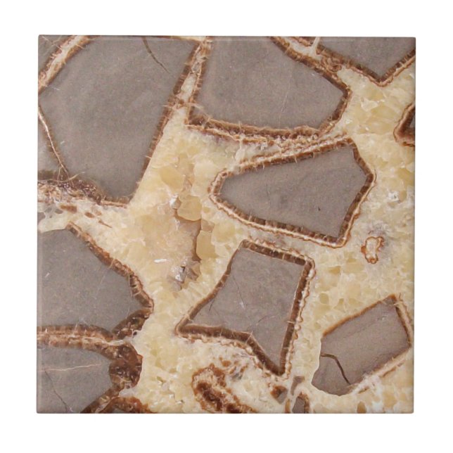 Carreau Section de croix de nodules sétariens Roches intér (Devant)