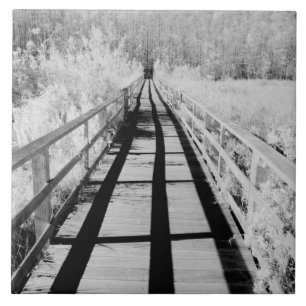 Carreau Sentier de la réserve de Corkscrew Swamp, Floride,