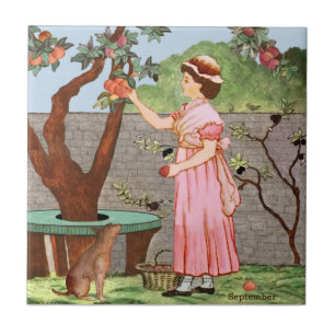 Carreau Septembre par Wedgwood Hand Colored c1885 Repro