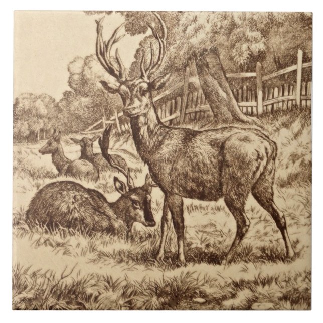 Carreau Série animalière William Wise 1879 Deer Tile Repro (Devant)