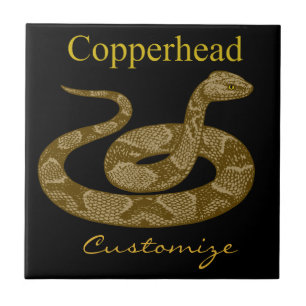 Carreau Serpent à tête de cuivre enroulé Thunder_Cove