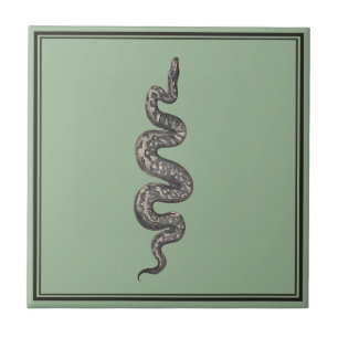 Carreau Serpent vert