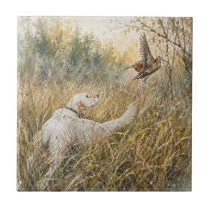 Carreau Setter anglais, chasse à la bécasse