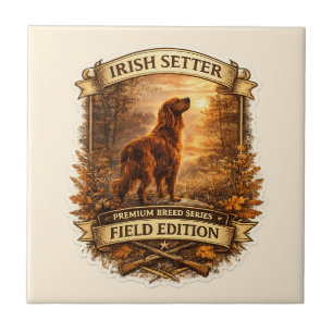 Carreau Setter irlandais