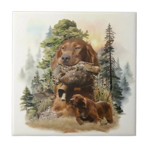 Carreau Setter irlandais, Chasse à la bécasse, Art