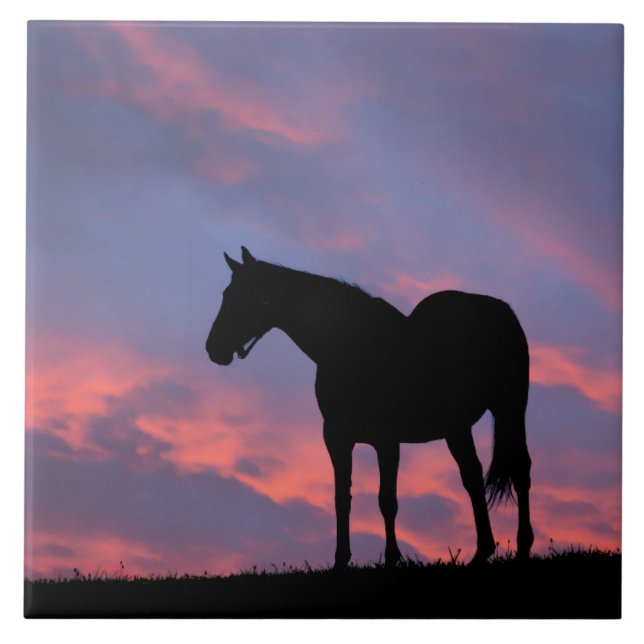 Carreau Silhouetté de cheval à gorge profonde au lever du  (Devant)