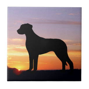 Carreau Silhouette luminescente de Rhodesian Ridgeback