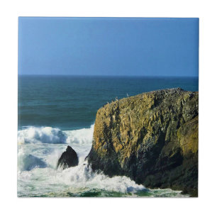Carreau Site naturel exceptionnel de Yaquina Head, Oregon