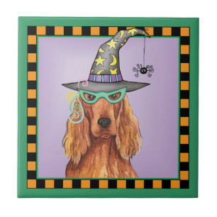 Carreau Sorcière de Setter irlandais