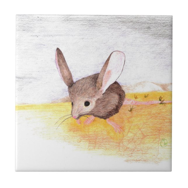 Carreau Souris du désert (Devant)