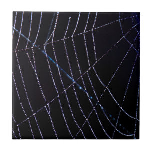 Carreau Spider Web