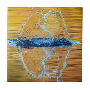 Carreau Splash le soir d'automne