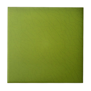 Carreau Spring Green Repro - Antique Solid Arrière - plan 