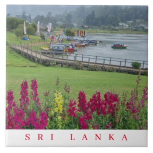 Carreau Sri Lanka Lake Gregory vue céramique