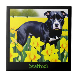 Carreau Staffodil - Staffy dans les jonquilles