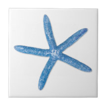 Starfish bleu