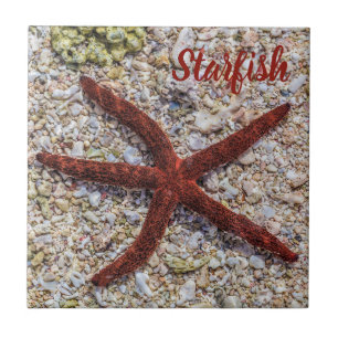 Carreau Starfish Ocean Plage Vintage Souvenir rétro