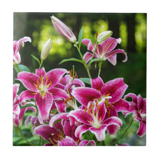 Carreau Stargazer Lilies