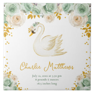 Carreau Statistiques de naissance de Swan Sage Green et Go