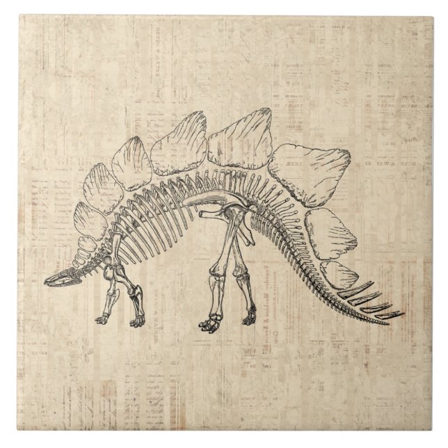 Carreau Stegosaurus Dinosaur Skeleton Papier à script Vint (Devant)