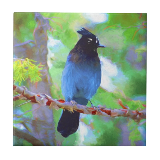 Carreau Steller's Jay Painting - Art original pour oiseaux (Devant)