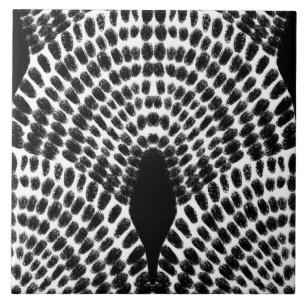 Carreau Style classique en mosaïque noire et blanche peint
