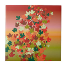 Carreau Sunset canadien