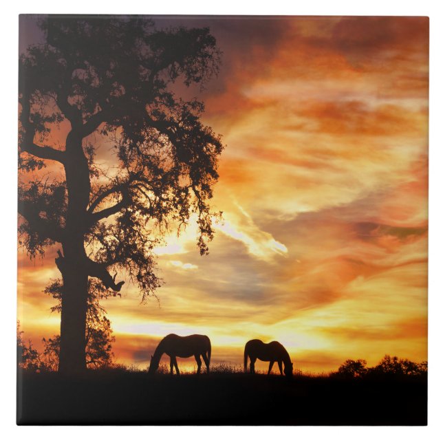 Carreau Sunset Sud-Ouest Avec Chevaux et Chêne Arbre (Devant)