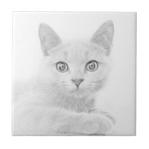 Carreau SUPER CUTE Kitten Portrait