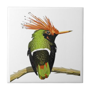 CARREAU SUR UN MEMBRE