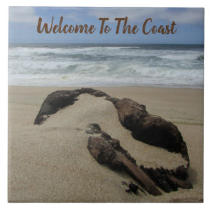 Carreau Surf d'accueil Sable Driftwood West Coast Paysage