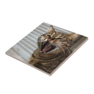 Carreau Tabby Cat Yawning Portrait Artistique