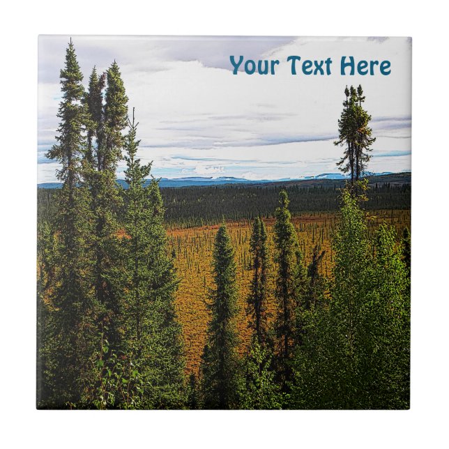 Carreau Taiga été (Devant)